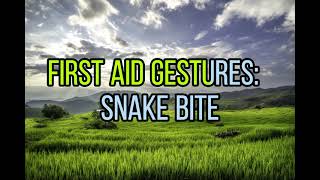 First aid gestures:  snake bite (BSES)
