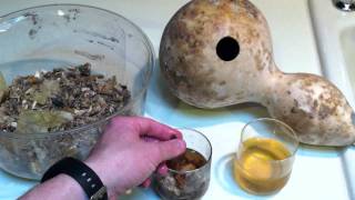 Soak Gourd Seeds Before Planting Them