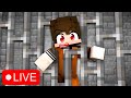 IL MIO SERVER MINECRAFT È SOTTO ATTACCO...