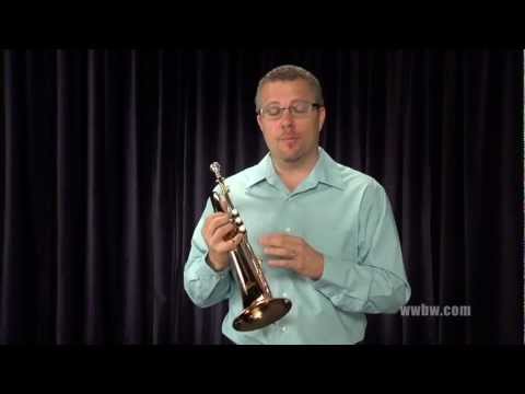 allora musical instruments reviews