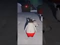 penguin noot noot explosion #nootnoot #funny #explosion