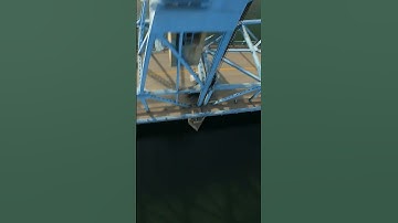 Perching in poop and nearly bouncing off to my death in the river #drone #fpvfreestyle #fpv