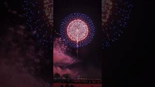 (有)糸井火工 花火甲子園2025 10号自由玉 №11「昇り曲導付四重芯変化菊」