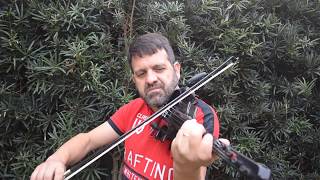 Let Me Love You -  Justin Bieber feat. DJ Snake | Eduardo Gomes Violin Cover