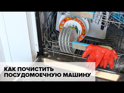 Почистить посудомоечную машину в домашних условиях