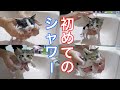【子猫】全員お風呂に入れたら大変な事になった!