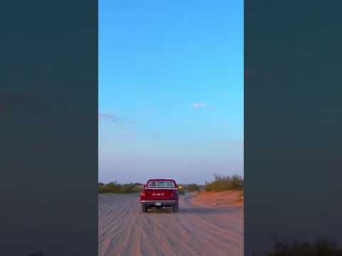 فحم الرويال الممتاز   