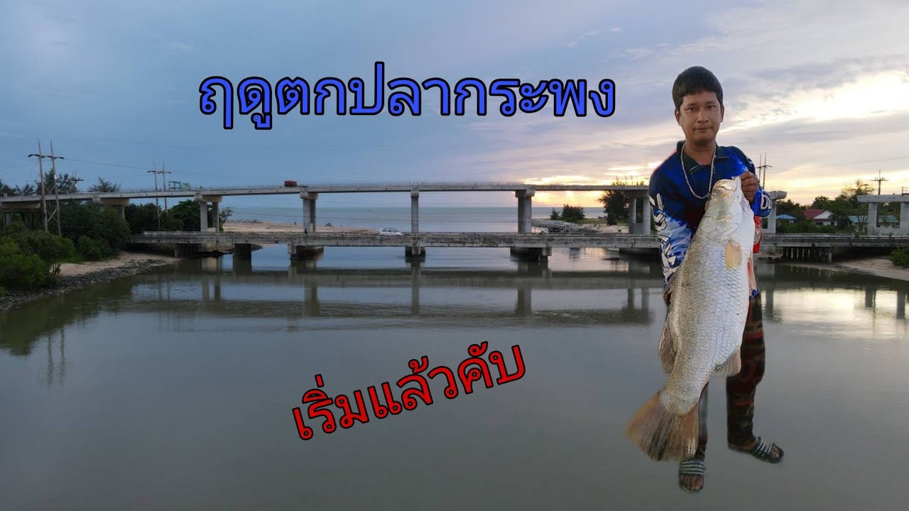 EP. 6 ฤดูล่ามาถึงแล้วคับ🎏ตกปลากระพงหมายธรรมชาติ🐟อ.ปากพนัง จ.นครศรีธรรมราช👉ตกปลาไปกับ