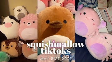 BEST SQUISHMALLOW VIDEOS | SQUISHMALLOW HUNTING, SQUISHMAIL, SQUISHMALLOW HAULS, FIVE BELOW SQUISH!