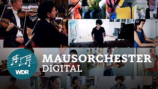 Mausorchester digital - Die Mausmelodie | Das Konzert mit der Maus | WDR Musikvermittlung Resimi