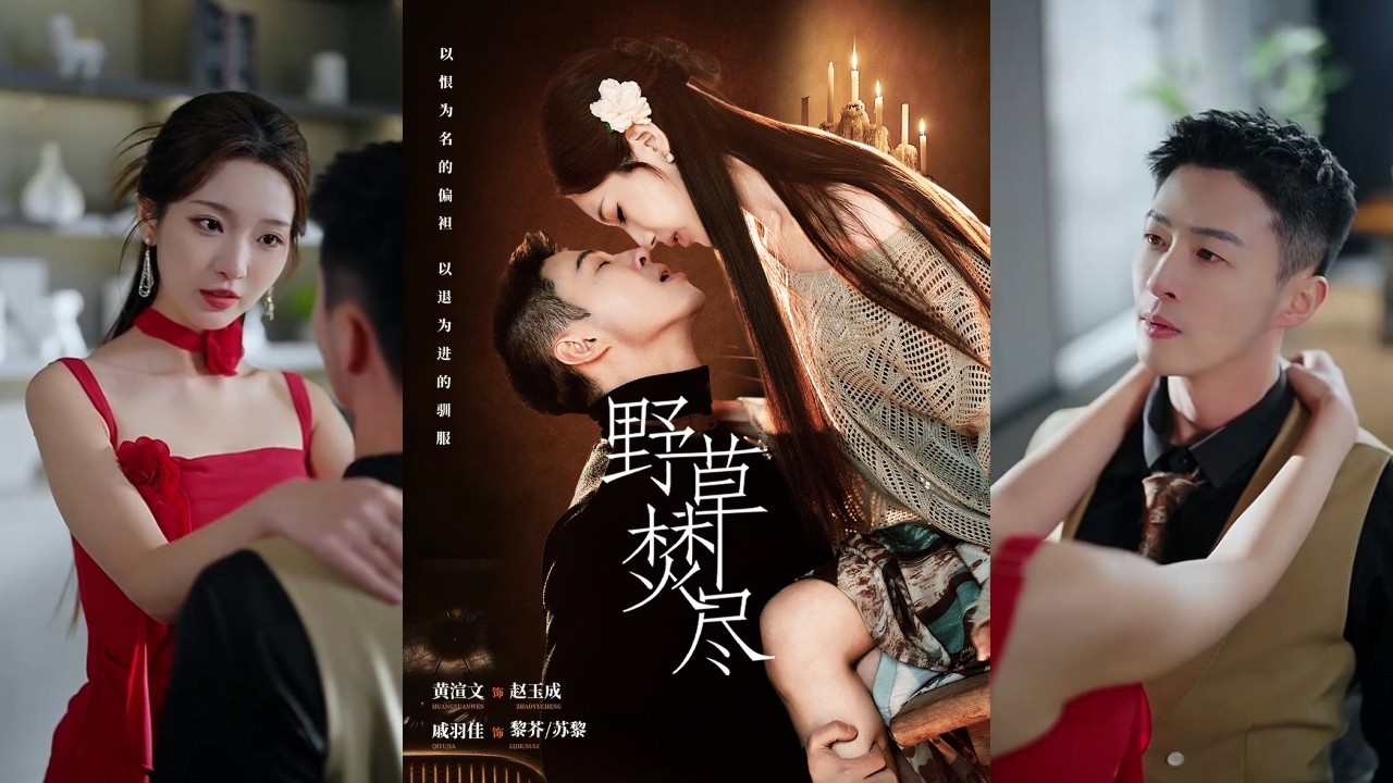 野草焚尽：复仇女神与冷面霸总的禁忌博弈