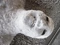 【閲覧注意】衝撃の大噴火で逃げ遅れた古代ローマの人々 幻の都市ポンペイを襲った悲劇