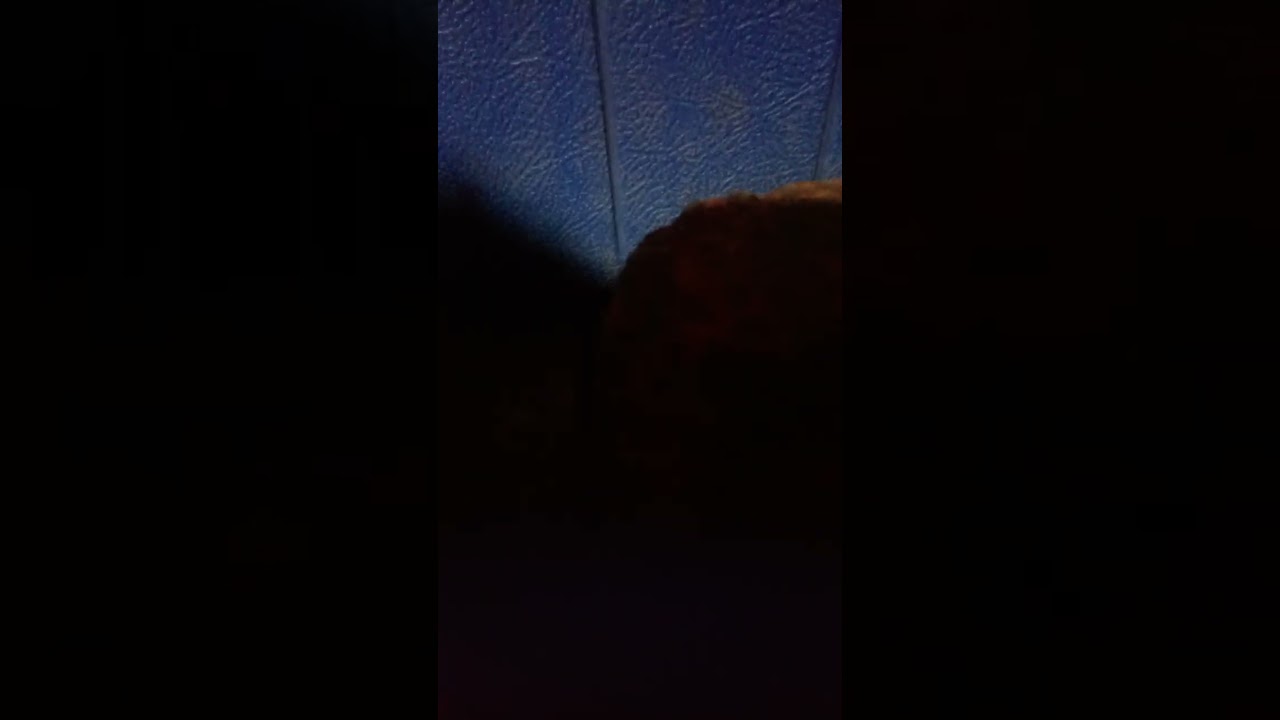 20 de octubre de 2025