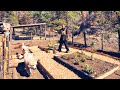 Complete offgrid garden build in 1 week  trying to survive in little alaska  episode 75