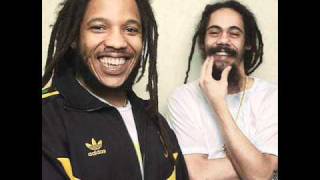 Damian And Stephen Marley- For The Babies