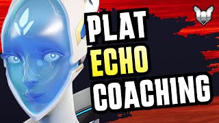 Platinum Echo Coaching (Mechanics and Matchups)