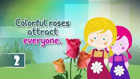 Indefinite Pronouns (Language Grade 2)