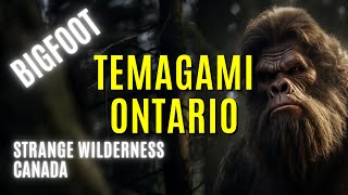 Discover the Mysterious Bigfoot of Temagami Ontario