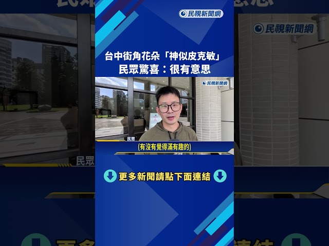 台中街角花朵"神似皮克敏" 民眾驚喜:很有意思－民視新聞