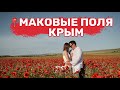 Маковые поля в Крыму. Мы приехали делать красивые фото на САМОЕ БОЛЬШОЕ маковое поле в Крыму.