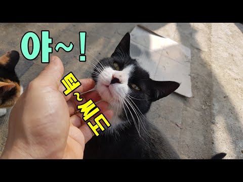 얼라들,거기가 좋냐?