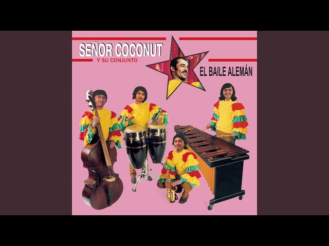 洋楽 SENOR COCONUT - Trans Europe Express sddefault.jpg