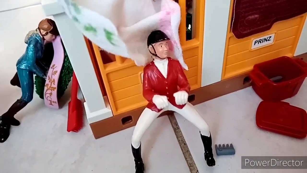 Ma routine après séance schleich - YouTube