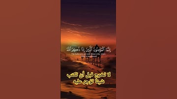 القرآن الكريم/ سورة المؤمنون/قل يارب 🤲 #القرآن_الكريم #المصحف #اكسبلور #الذكر_الحكيم #everyone