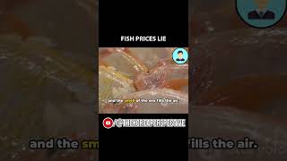 Korea’s True Inflation Exposed: Fish Market Prices Skyrocket Beyond Official Data