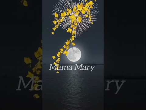 Mama Mary Song Lyrics Short Video 
