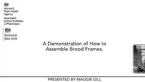 A Demonstration of How to Assemble Brood Frames
