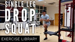 Single Leg Drop Squat Exercise With Variations