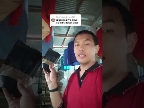 pengwn murai gao balas wa