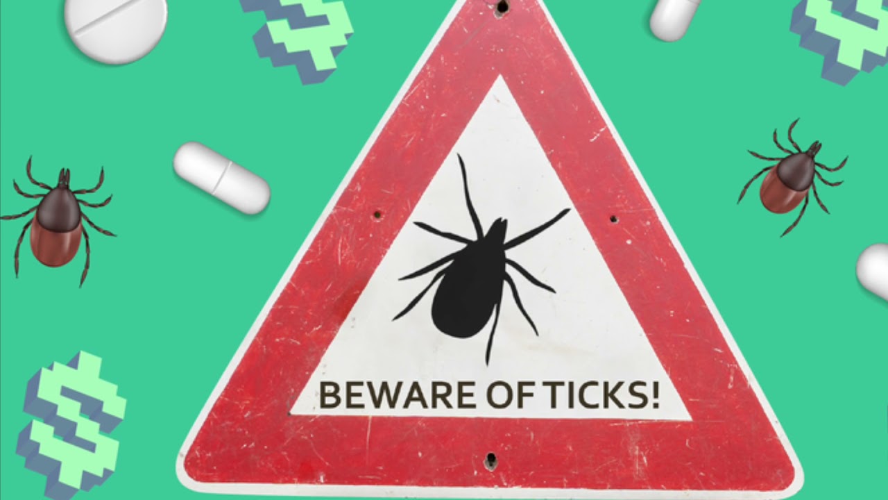 Lyme Disease Analysis PSA