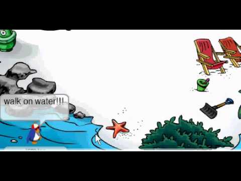 Welcome to the all new CPPS!