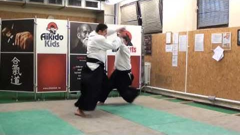 ushiro ryohijidori kotegaeshi [TUTORIAL] Aikido empty hand advanced techniques