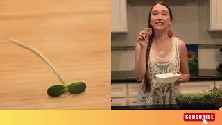 what is difference between sprout and microgreens