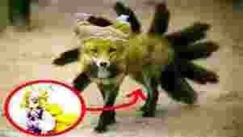 evidence that touhou exists