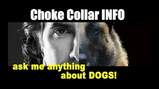 Choke Chain Explanation SHORT - Dog Training Video with Robert Cabral