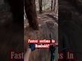POV: Mountain Biking the Redwoods of Humboldt #shorts #mtb #mountainbike