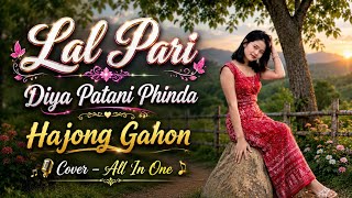 Lal pari diya patani phinda Cover All in one