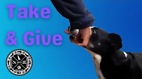 Training  'Take' and 'Give' Objects for a Formal S...