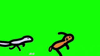 Flipaclip Animals Stampede Green Screen