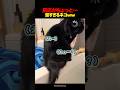 反応が遅すぎるネコww