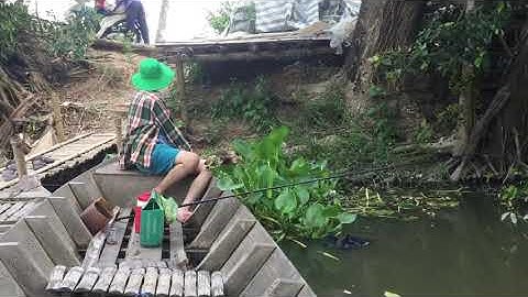 Câu cá miền quê cao lãnh đồng tháp thật yên bình
