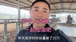 养牛人太难了，一起加油吧