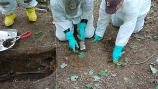 FBI Trains at the Body Farm