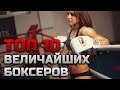 ТОП 10 ВЕЛИКИХ БОКСЕРОВ