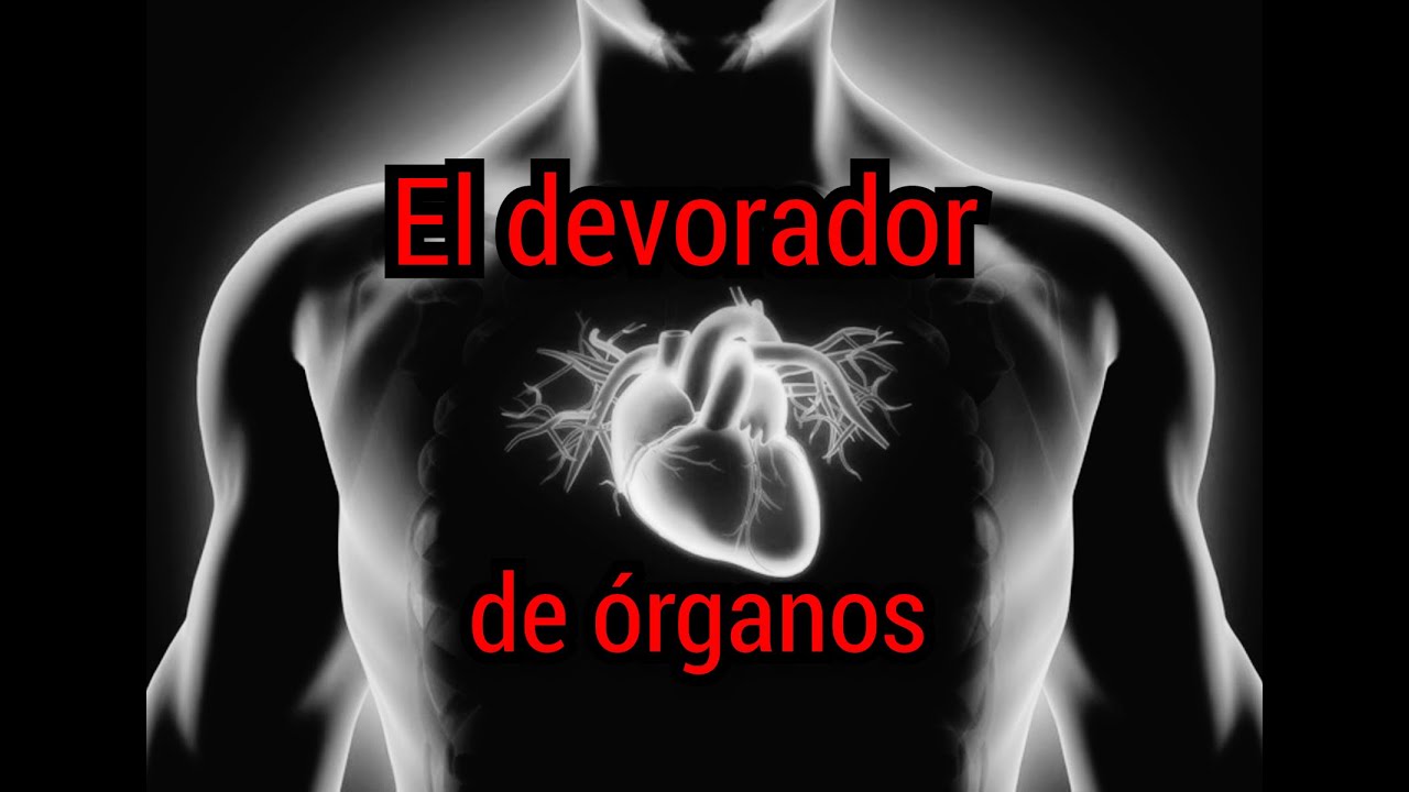 Creepypasta - El devorador de órganos