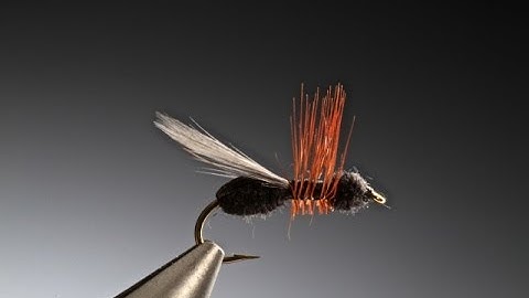 Tying the Flying Wood Ant with Barry Ord Clarke
